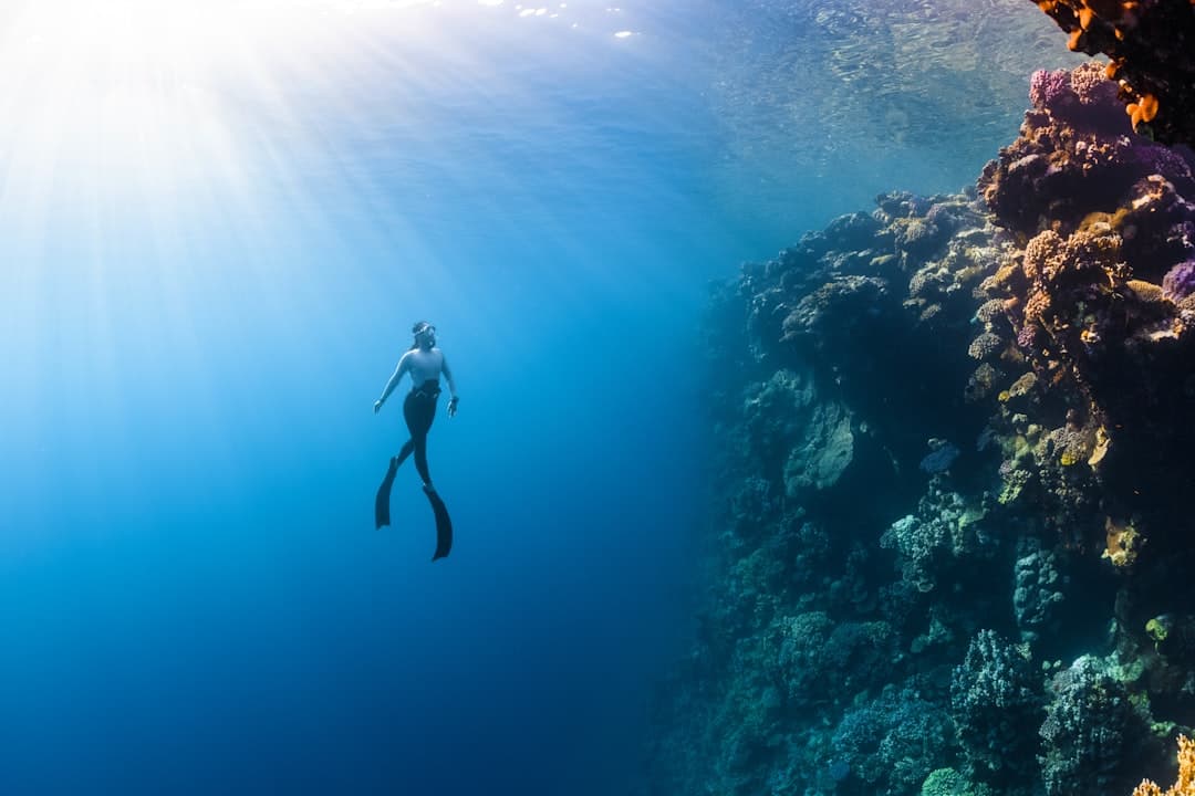 Diver at work
